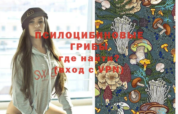 a pvp Алзамай