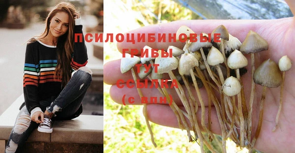 дмт Алексин