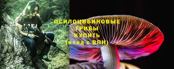 a pvp Алзамай