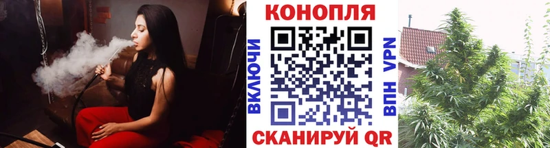 Канабис SATIVA & INDICA  наркотики  Калининск 